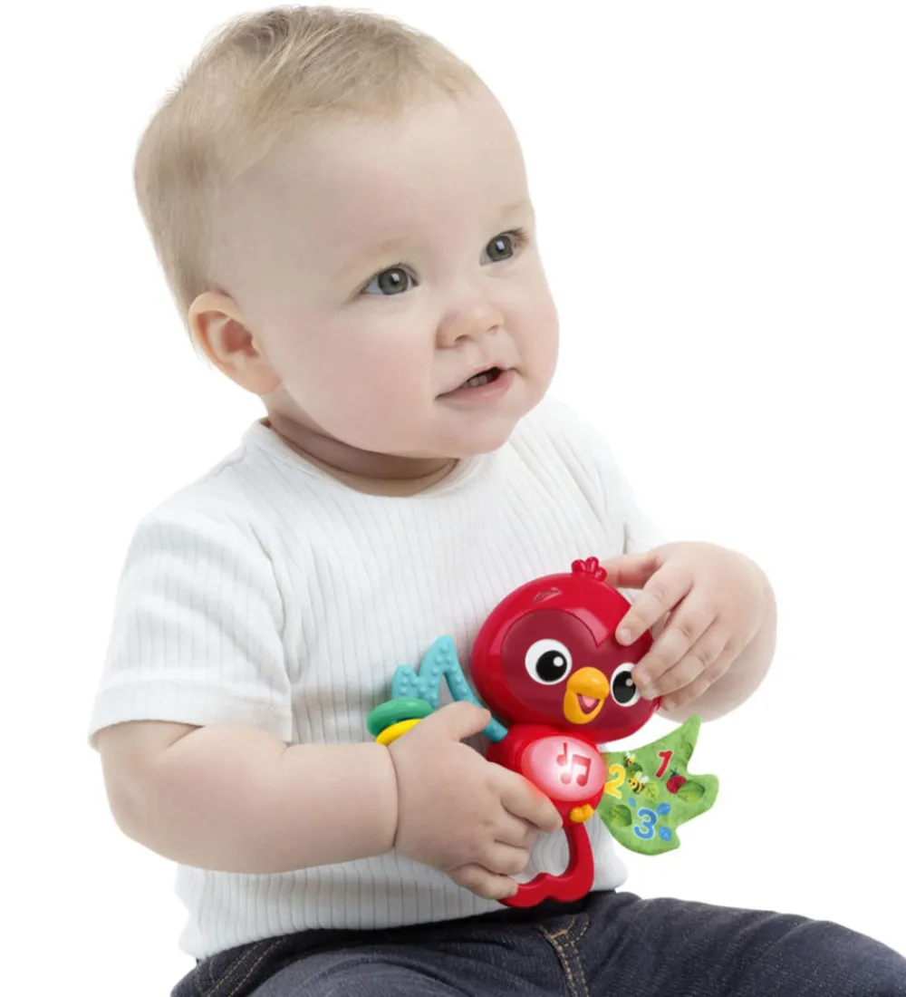 Baby Einstein Aktivitetslegetøj>Aktivitetslegetøj m. Musik - Roxy's Bright Flight