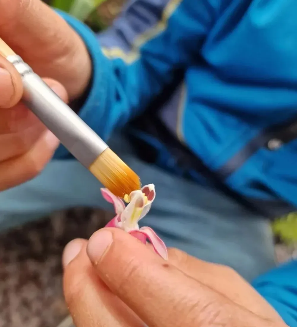 Dr Zigs Udeleg Og Udendørs Legetøj|Vandleg>Sæbeboblesæt - Bubble Pollinator Kit