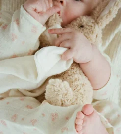 Fanga Fontana Bamser><noscript><img width=