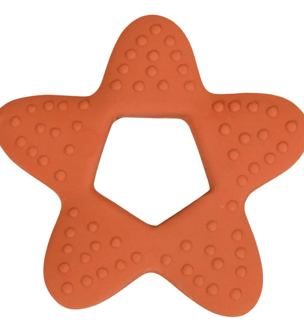 Filibabba Bideringe>Bidering - Stjerne - Rust