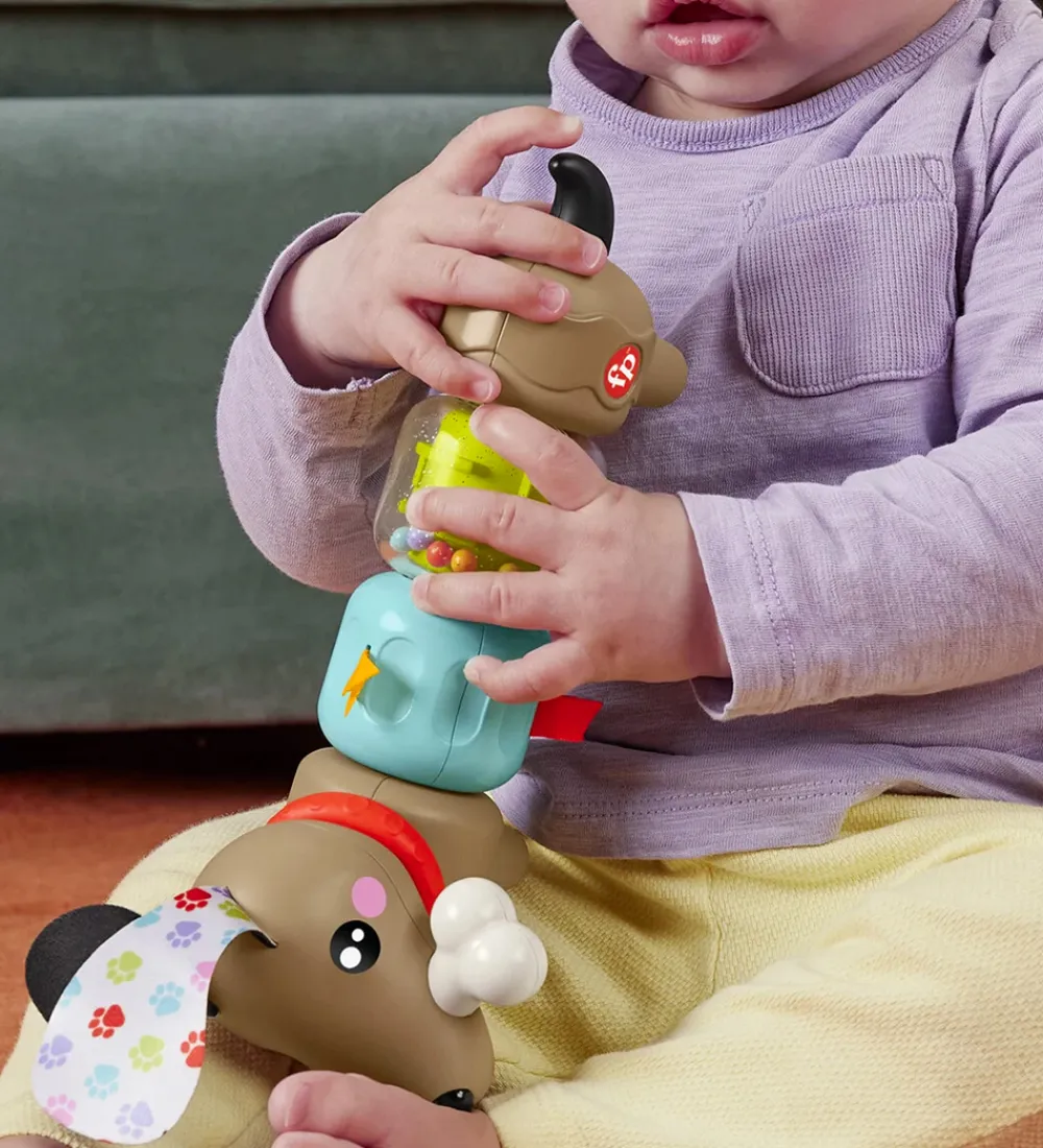 Fisher-Price Aktivitetslegetøj>Aktivitetlegetøj - Click & Spin - Hundehvalp