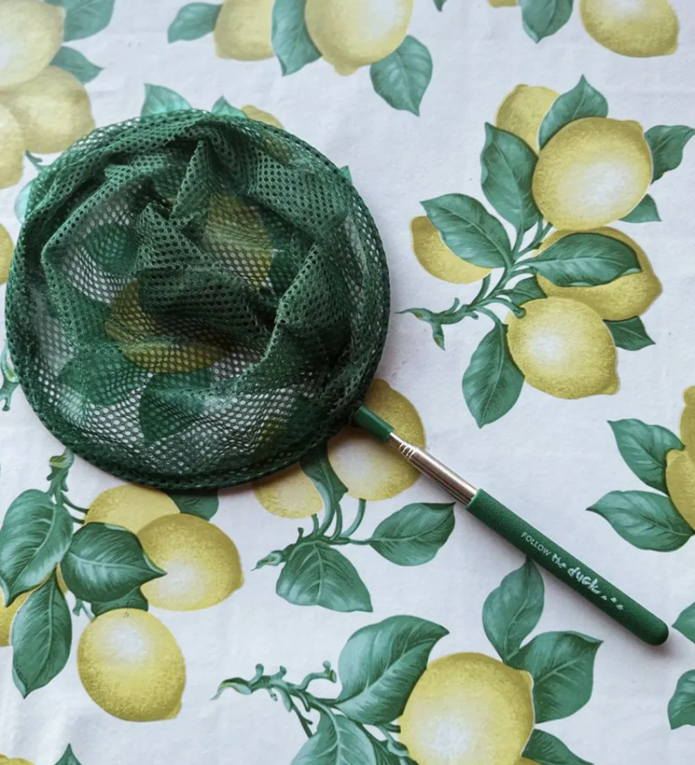 Follow the Duck Udeleg Og Udendørs Legetøj|Strandlegetøj>Net - Telescopic Net - Dark Green