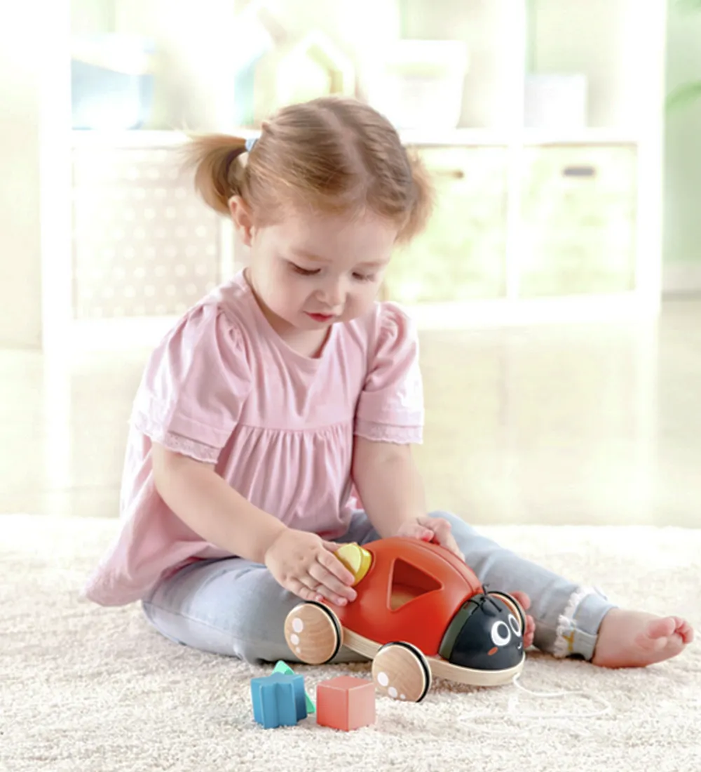 Hape Puttekasser>Træklegetøj - Mariehøne m. Klodser