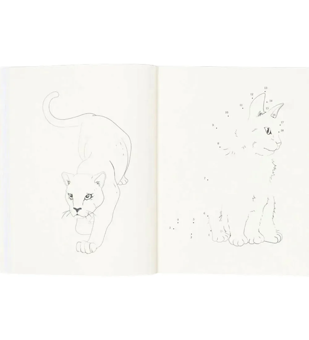 Konges Sløjd Kreativ Leg|Bøger>Aktivitetsbog m. Farveblyanter - Multi