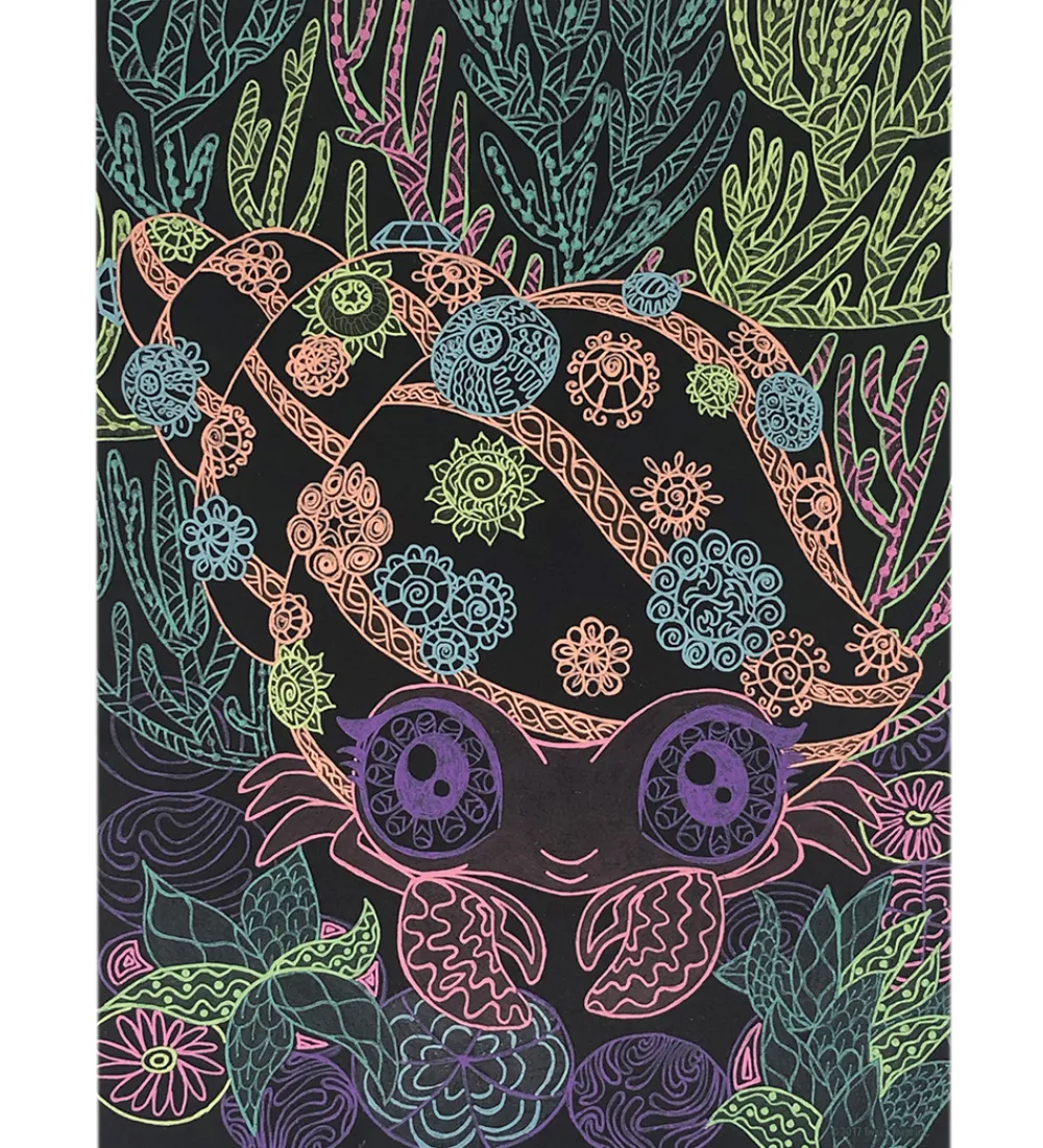 Nebulous Stars Malebog>Malebog m. Tuscher - Sorte Sider - Coralia