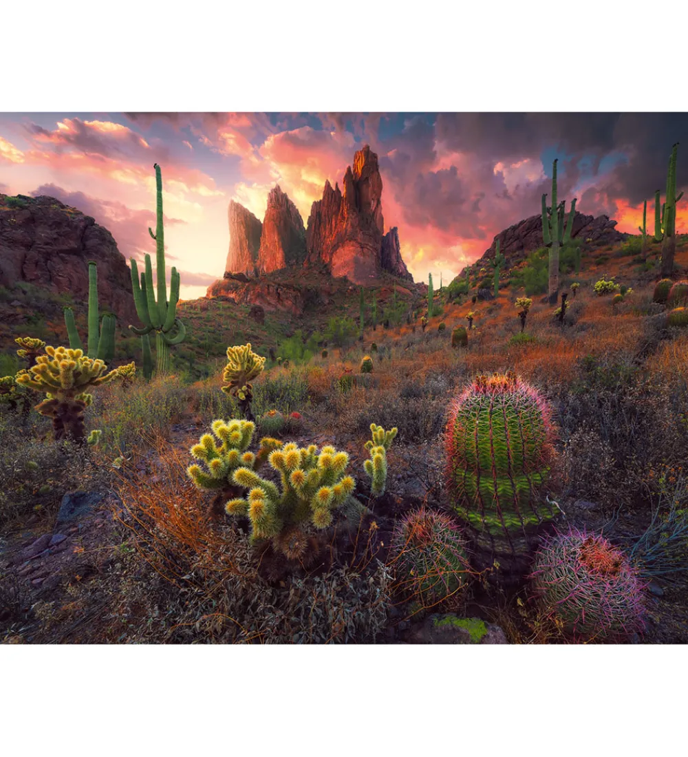 Ravensburger Puslespil>Puslespil - 500 Brikker - Spikes