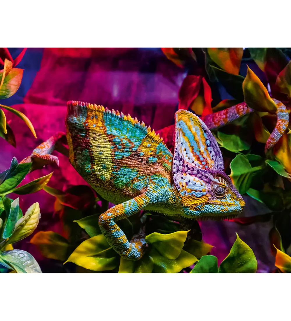 Ravensburger Puslespil>Puslespil - 500 Brikker - Chameleon