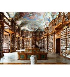 Ravensburger Puslespil>Puslespil - 1000 Brikker - Library at St. Florian M