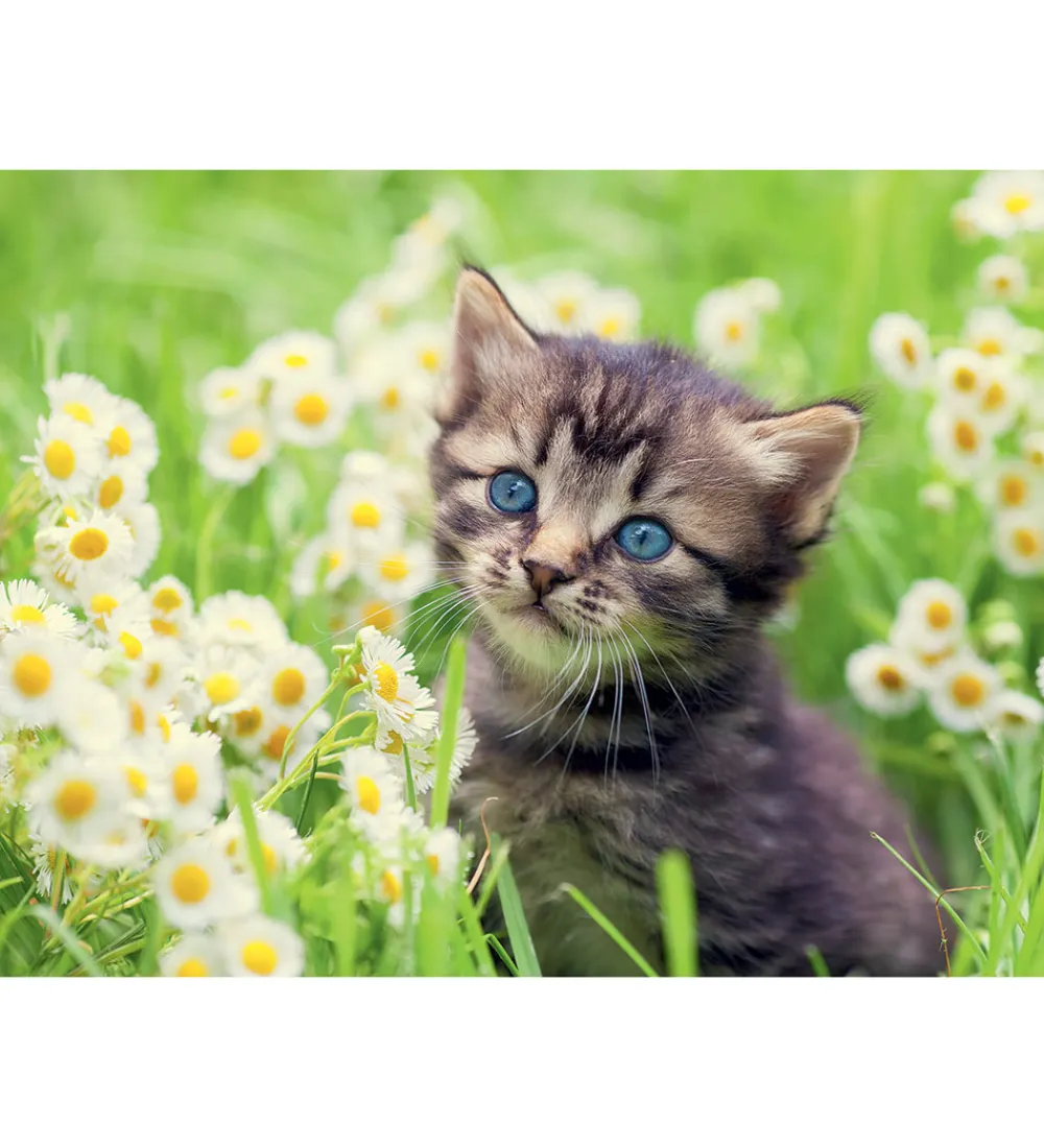 Ravensburger Puslespil>Puslespil - 500 Brikker - Kitten In The Meadow