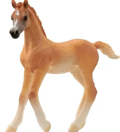 Schleich Schleich>Horse Club - Araberføl - H: 8 cm - 13984