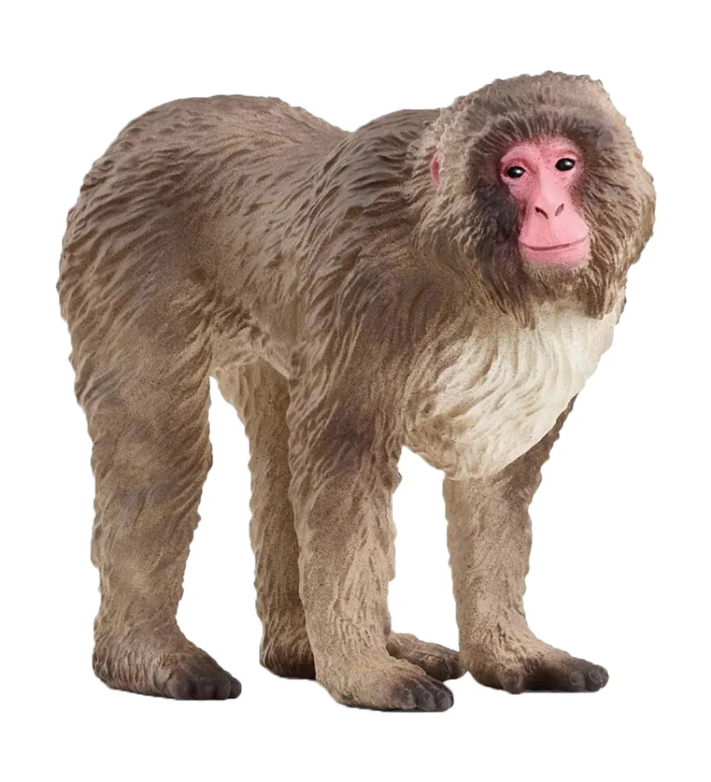 Schleich Schleich>Wild Life - Japansk Makak-abe - H: 6,9 cm - 14871