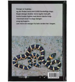 Straarup & Co Spil><noscript><img width=