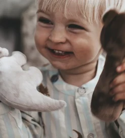 Thats Mine Gribelegetøj>That's Mine Rangle - Ethan - Dino