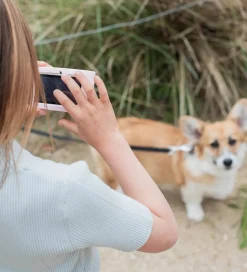 The Zoofamily Børnekamera><noscript><img width=