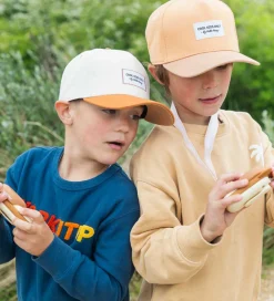 The Zoofamily Walkie Talkies><noscript><img width=