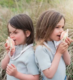 The Zoofamily Walkie Talkies><noscript><img width=